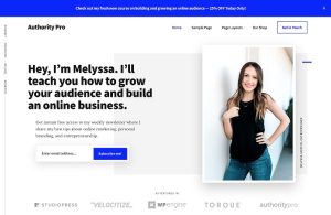 Authority Pro Theme Package