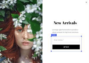 Brave - Drag n Drop WordPress Popup, Optin, Lead Gen & Survey Builders