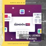 Elementor Pro Original + Lisensi 10 Websites