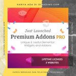 Premium Addons For Elementor PRO + Lifetime 3 Websites ORIGINAL LICENSE