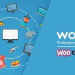 WOOBE - WooCommerce Bulk Editor and Products Manager Professional